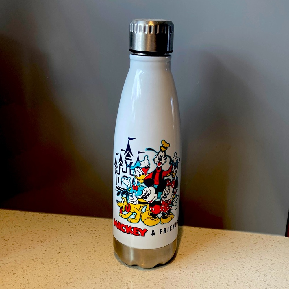 Walt Disney World Drink Bottle